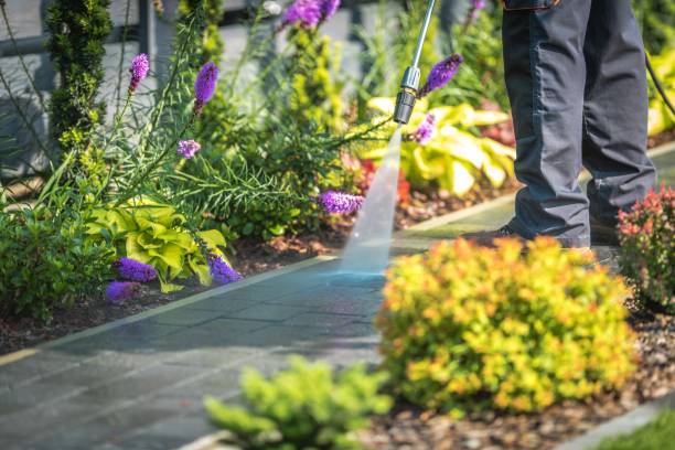 Best Driveway Pressure Washing  in Gridley, IL