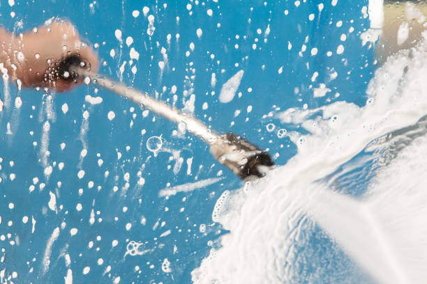 Best Spring Cleaning  in Gridley, IL